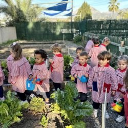 Infantil Lope de Vega International School mundo de las plantas
