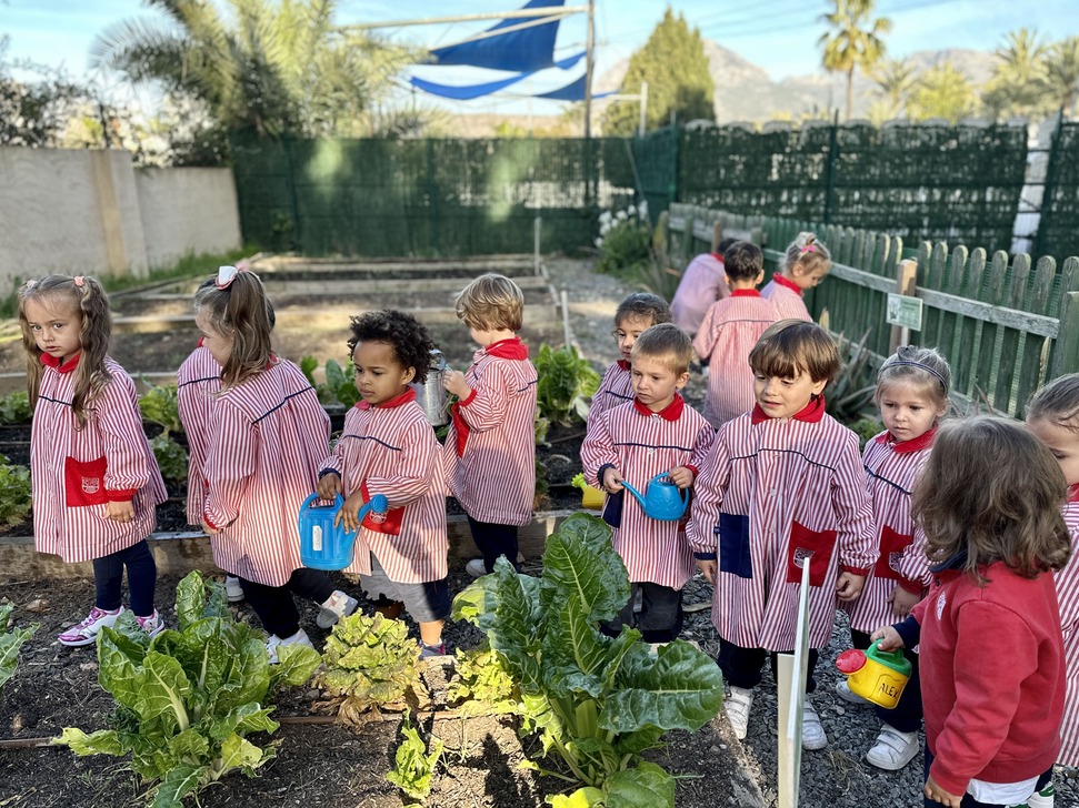 Infantil Lope de Vega International School mundo de las plantas