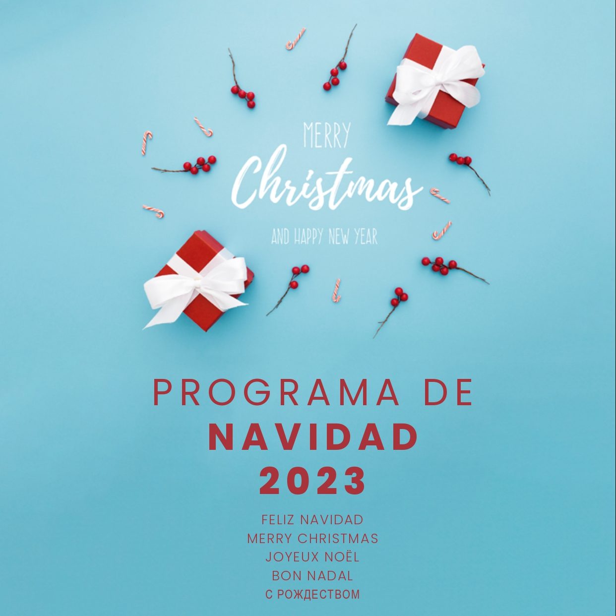 Programa Navidad LDV 2023
