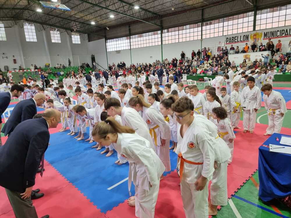 I Torneo provincial de promoción karate Lope de Vega International School
