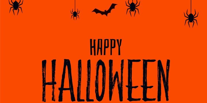 Happy halloween scary spooky card with bats and spider